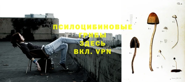 герыч Дмитриев