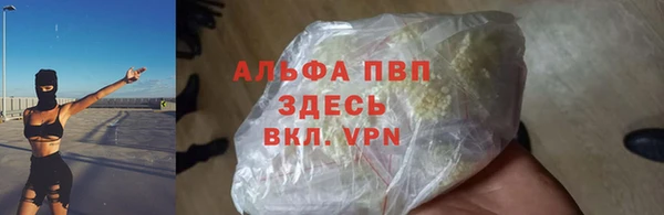 дживик Дмитров