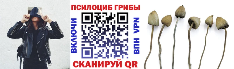 где продают   hydra ссылки  Галлюциногенные грибы мицелий  shop Telegram  Старая Купавна 